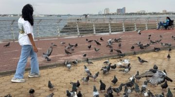 أجواء جدة الماطرة تنعش الأهالي والزوار للتنزه