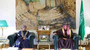 الخريجي يبحث مع الممثل الأممي في العراق الموضوعات المشتركة