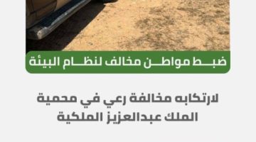 القوات الخاصة للأمن البيئي تضبط مخالفين لنظام البيئة