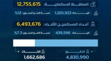 12 مليون محفظة استثمارية للأفراد بسوق الأسهم الرئيسية في الربع الثالث 2024