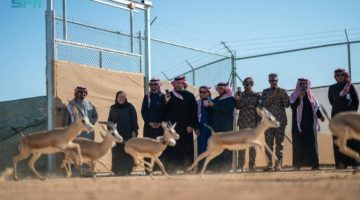 66 كائنًا فطريًّا مهددًا بالانقراض «تتنفس الحريَّة»