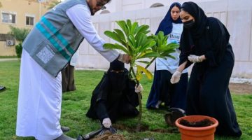التطوع البلدي بأمانة العاصمة المقدسة تنفذ (300) مبادرة تطوعية في 2024