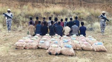 إحباط تهريب (3.1) طن حشيش