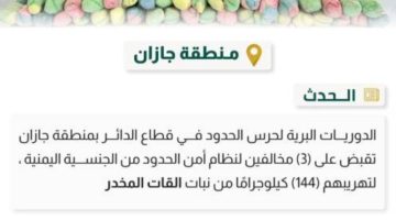 حرس الحدود بجازان يحبط تهريب (144) كيلوجرامًا من القات المخدر