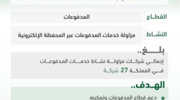 ساما ترخص لشركة “هايبرباي إنك السعودية لتقنية نظم المعلومات” لمزاولة نشاط خدمات المدفوعات