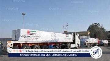 3 قوافل مساعدات إماراتية تصل إلى قطاع غزة ضمن عملية “الفارس الشهم 3”
