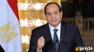 شاهد: مومياء حارس اللوتس و كنوز فرعونية تعود لأرض الوطن بعد زيارة الرئيس السيسي لايرلندا “صور”