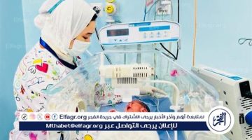 358 حضانة في المنشآت التابعة للهيئة بـ6 محافظات