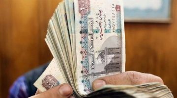 مواعيد صرف مرتبات شهر ديسمبر 2024 (تفاصيل)