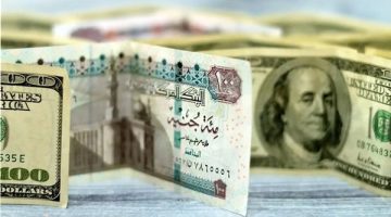 “العملة الخضراء تقترب من الـ 51 جنيه”.. ارتفاع سعر الدولار مقابل الجنيه المصري بنهاية تعاملات اليوم الأربعاء 11-12-2024 في البنوك والسوق السوداء