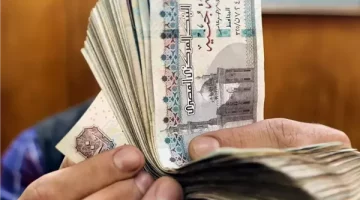 من هم الفئات المستحقه .. شروط ومعايير الحصول على معاش الطفل 2025 من وزارة التضامن الاجتماعي