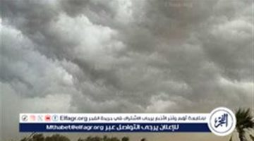 أجواء مائلة للبرودة مع شبورة مائية ورياح نشطة