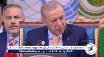 “أردوغان” يهنئ الرئيس السيسي على رئاسة قمة منظمة الدول الثماني