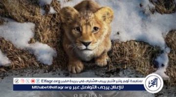 أسطورة الأسد تعود لتحطم الأرقام.. فيلم ديزني الجديد يحقق نجاحًا عالميًا ساحقًا”