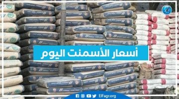 أسعار الأسمنت اليوم الثلاثاء 10-12-2024 في محافظة البحيرة