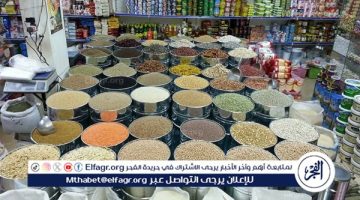 أسعار البقوليات اليوم الأربعاء 18-12 -2024 في أسواق ومحال محافظة الدقهلية