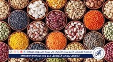 أسعار البقوليات اليوم السبت 28-12-2024 في أسواق ومحال محافظة قنا