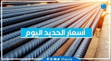 أسعار الحديد اليوم الثلاثاء 24-12-2024 في محافظة البحيرة