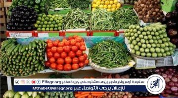 أسعار الخضروات اليوم الأربعاء 18-12-2024 في الدقهلية