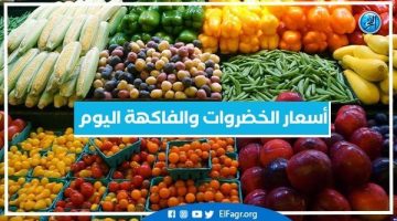 أسعار الخضروات والفاكهة اليوم الثلاثاء 24-12-2024 في أسواق محافظة البحيرة