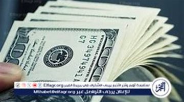 أسعار الدولار مقابل الجنيه المصري اليوم الأربعاء 11 ديسمبر 2024: استقرار ملحوظ