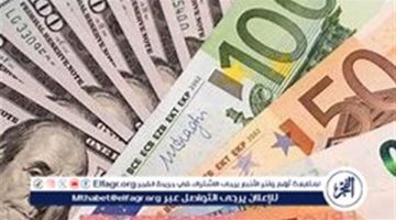 أسعار الدولار والعملات الأجنبية والعربية مقابل الجنيه المصري اليوم الأربعاء 25 ديسمبر 2024