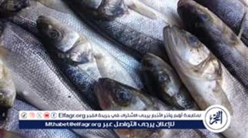 أسعار السمك البلطي والبوري اليوم الاربعاء 18-12-2024 في محافظة قنا