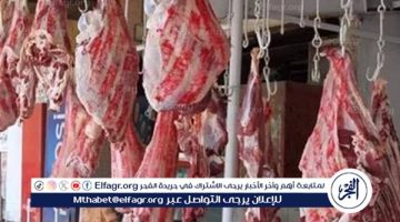 أسعار اللحوم اليوم الاثنين 30-12-2024 في الأسواق ومحال الجزارة بقنا