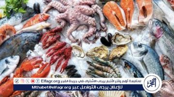أسعار المأكولات البحرية والجمبري اليوم الاثنين 30-12-2024 في محافظة قنا