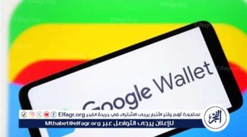 إطلاق محفظة “Google Wallet” في مصر: كل ما تحتاج معرفته