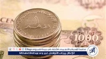 استقرار سعر الدرهم الإماراتي مقابل الجنيه المصري اليوم 16 ديسمبر 2024