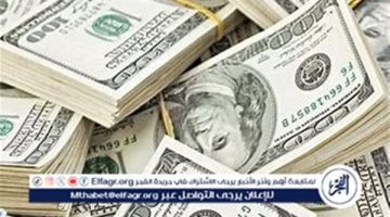 استقرار سعر الدولار مقابل الجنيه المصري اليوم الثلاثاء 24 ديسمبر 2024 بعد تجاوزه 51 جنيهًا