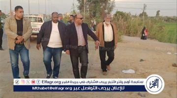 الانتهاء من توصيل مياه الشرب لعزبة فوزي بالإسماعيلية