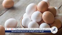 البيض: غذاء كامل وفوائد صحية لا حصر لها