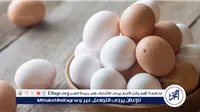 البيض: فوائده الصحية والفروق بين البيض الأبيض والأحمر