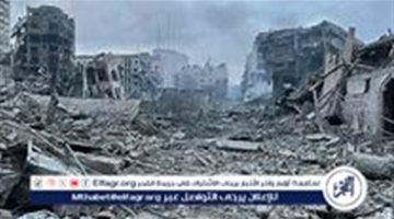 التطهير العرقي في غزة جريمة حرب وتحذيرات من تداعياتها