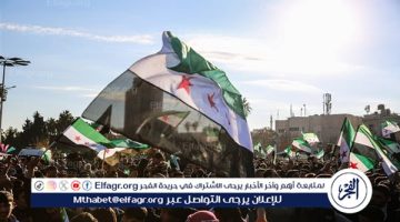الثورة السورية انتصرت وينبغي بناء سوريا لتصبح دولة لا “مزرعة”