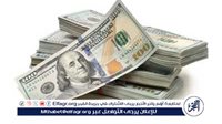 الدولار يواصل ارتفاعه أمام الجنيه المصري: تحديث جديد لأسعار الصرف
