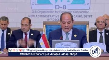 الرئيس السيسي يعلن انضمام أذربيجان لمنظمة الدول الثماني النامية