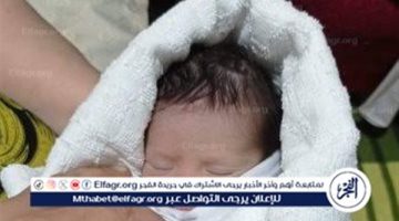 العثور على طفل حديث الولادة في الأراضي الزراعية بطنطا