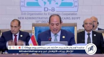 “الفجر” تنشر نص كلمة الرئيس السيسي في الجلسة الثانية لمؤتمر الدول الثماني النامية حول غزة ولبنان