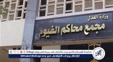 اليوم.. محاكمة المتهم بقتل جاره بسبب خلافات الجيرة في الفيوم