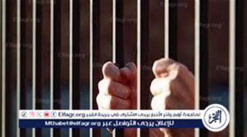 بعد 8 وقائع.. استمرار حبس عاطل تخصص في سرقة السيارات بمدينة نصر
