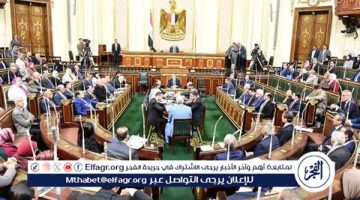 بعد إقراره.. ننشر تفاصيل وأهداف مشروع قانون الإجراءات الجنائية