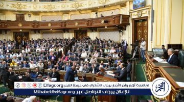 بعد موافقة الشيوخ.. التفاصيل الكاملة لـ مشروع قانون تقنين وضع اليد على أملاك الدولة