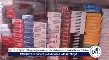 بقيمة 6.3 مليون جنيه.. مكافحة التهرب الضريبي تضبط سجائر مهربة ببني سويف