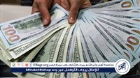 تحديث جديد: سعر الدولار اليوم في مصر بعد خفض الفائدة من الفيدرالي الأمريكي
