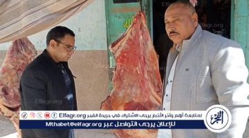 تحرير 260 محضر تموينى بالمراكز والأحياء
