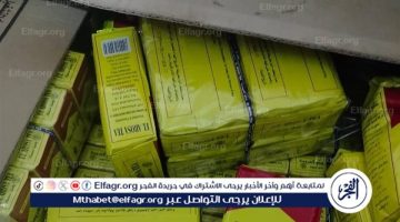 تحرير 33 محضرًا تموينيا متنوعًا للمخالفين بمركز ديروط