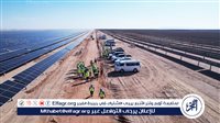 تخدم 256 ألف منزل.. خبير: محطة أبيدوس نقلة نوعية بمجال الطاقة المتجددة